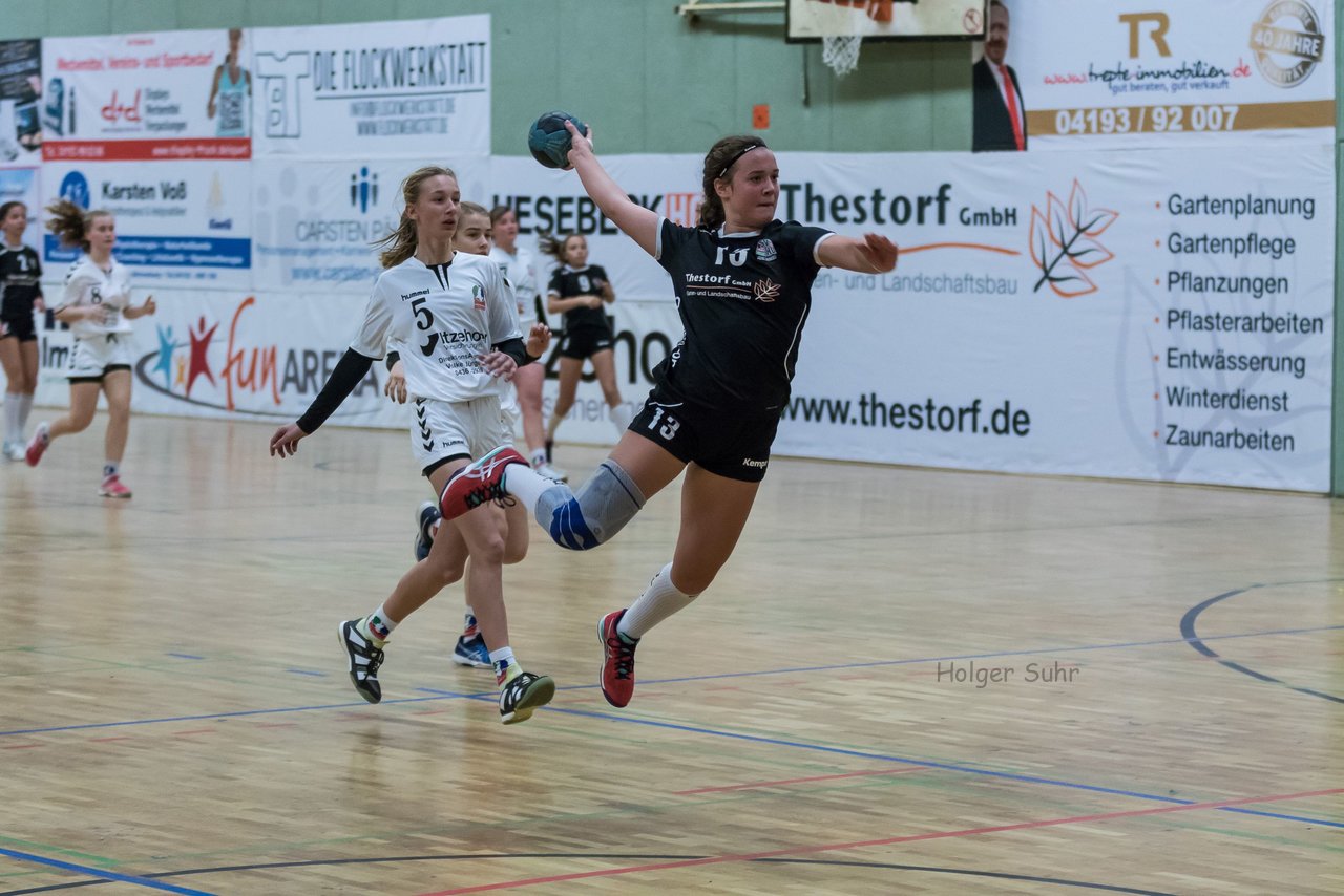 Bild 146 - C-Juniorinnen SVHU - HSD Wagrien : Ergebnis: 30:15